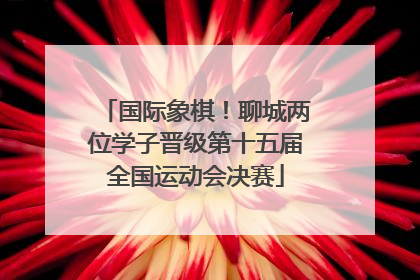 国际象棋！聊城两位学子晋级第十五届全国运动会决赛