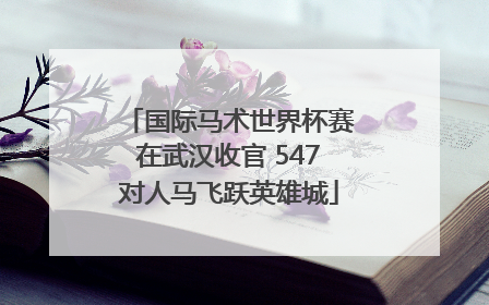 国际马术世界杯赛在武汉收官 547对人马飞跃英雄城