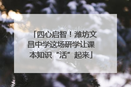 四心启智！潍坊文昌中学这场研学让课本知识“活”起来