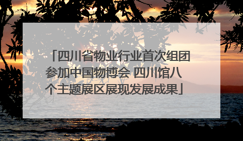 四川省物业行业首次组团参加中国物博会 四川馆八个主题展区展现发展成果