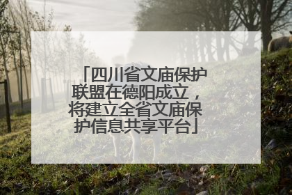 四川省文庙保护联盟在德阳成立，将建立全省文庙保护信息共享平台