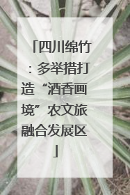 四川绵竹：多举措打造“酒香画境”农文旅融合发展区
