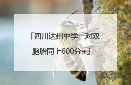 四川达州中学一对双胞胎同上600分+