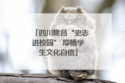 四川隆昌“史志进校园” 厚植学生文化自信