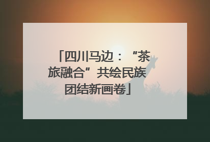 四川马边：“茶旅融合”共绘民族团结新画卷