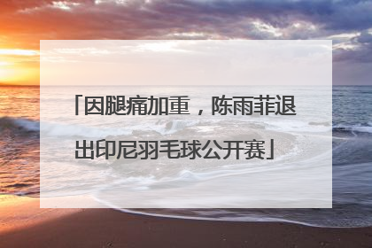 因腿痛加重，陈雨菲退出印尼羽毛球公开赛