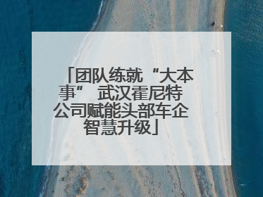 团队练就“大本事” 武汉霍尼特公司赋能头部车企智慧升级