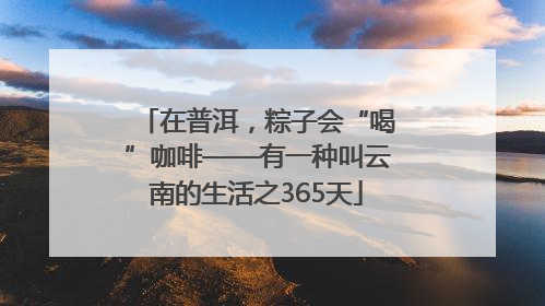 在普洱，粽子会“喝”咖啡——有一种叫云南的生活之365天