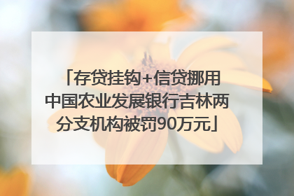 存贷挂钩+信贷挪用 中国农业发展银行吉林两分支机构被罚90万元