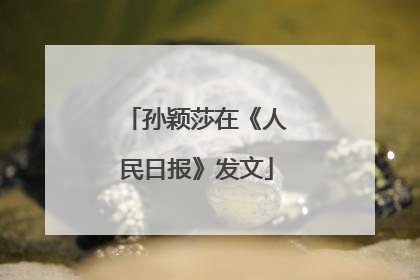 孙颖莎在《人民日报》发文