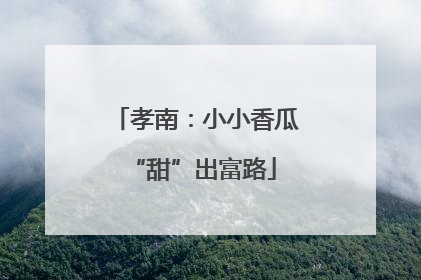 孝南：小小香瓜 “甜”出富路