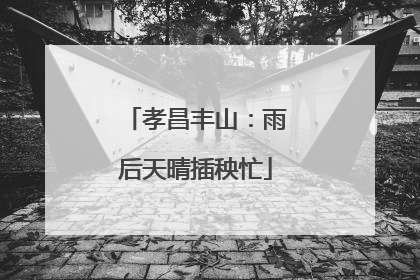 孝昌丰山：雨后天晴插秧忙