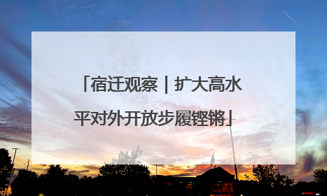宿迁观察｜扩大高水平对外开放步履铿锵