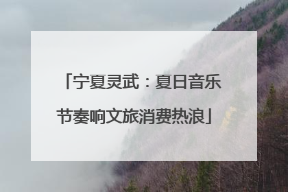 宁夏灵武：夏日音乐节奏响文旅消费热浪