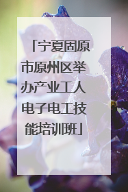 宁夏固原市原州区举办产业工人电子电工技能培训班