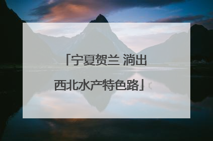 宁夏贺兰 淌出西北水产特色路