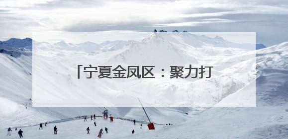宁夏金凤区：聚力打造汽车产业新生态