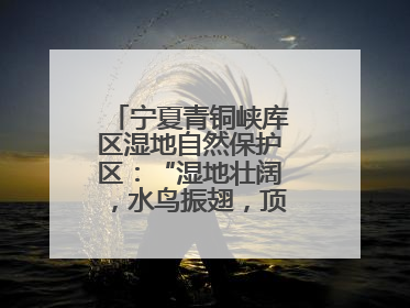 宁夏青铜峡库区湿地自然保护区：“湿地壮阔，水鸟振翅，顶有趣呢！”