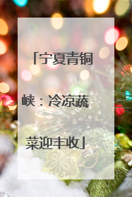 宁夏青铜峡：冷凉蔬菜迎丰收