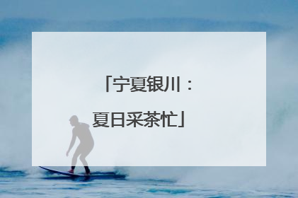 宁夏银川：夏日采茶忙
