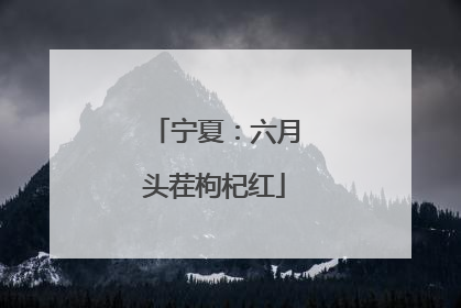 宁夏：六月头茬枸杞红