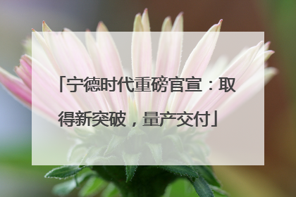 宁德时代重磅官宣：取得新突破，量产交付
