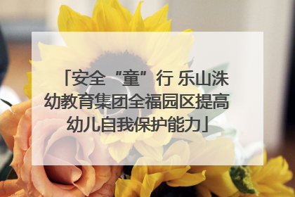 安全“童”行 乐山洙幼教育集团全福园区提高幼儿自我保护能力