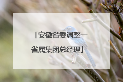 安徽省委调整一省属集团总经理