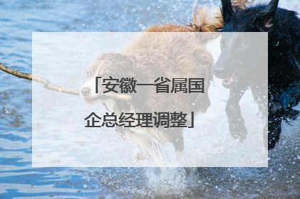 安徽一省属国企总经理调整