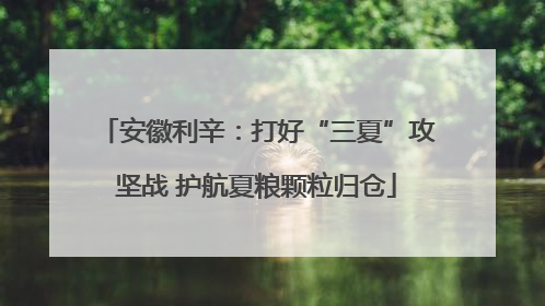 安徽利辛:打好“三夏”攻坚战 护航夏粮颗粒归仓