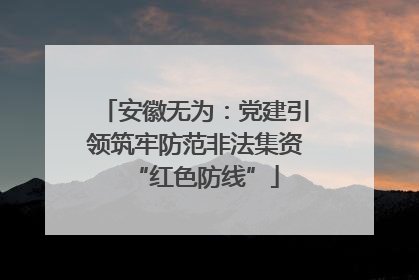 安徽无为：党建引领筑牢防范非法集资“红色防线”