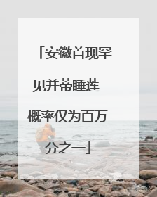 安徽首现罕见并蒂睡莲 概率仅为百万分之一