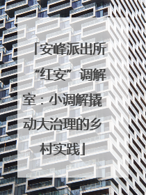 安峰派出所“红安”调解室：小调解撬动大治理的乡村实践