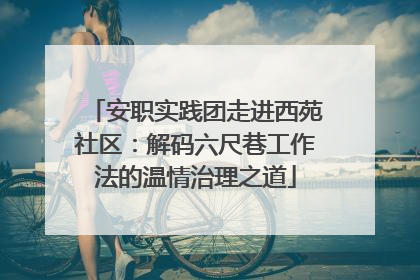 安职实践团走进西苑社区：解码六尺巷工作法的温情治理之道
