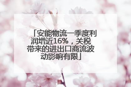 安能物流一季度利润增近16%，关税带来的进出口商流波动影响有限