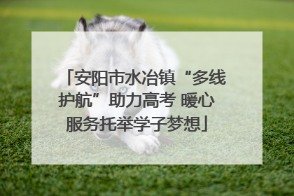安阳市水冶镇“多线护航”助力高考 暖心服务托举学子梦想