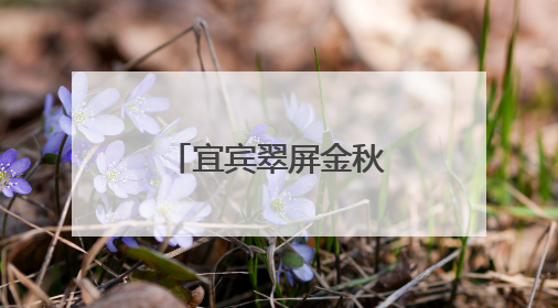 宜宾翠屏金秋湖中心校多举措筑牢“端午”假期安全防线