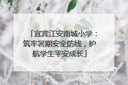 宜宾江安南城小学：筑牢暑期安全防线，护航学生平安成长