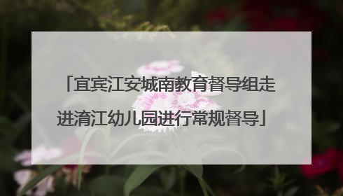 宜宾江安城南教育督导组走进淯江幼儿园进行常规督导