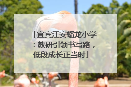 宜宾江安蟠龙小学：教研引领书写路，低段成长正当时