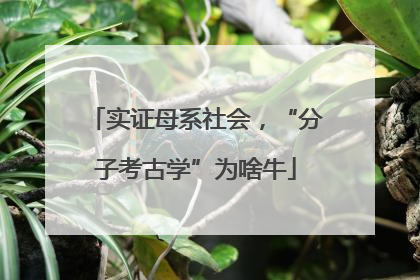 实证母系社会，“分子考古学”为啥牛
