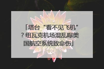 塔台“看不见飞机”？纽瓦克机场混乱曝美国航空系统致命伤