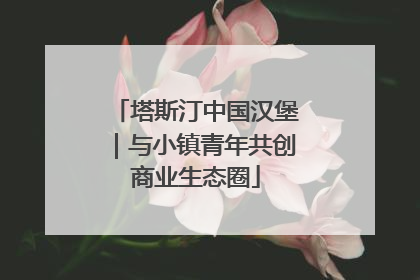 塔斯汀中国汉堡｜与小镇青年共创商业生态圈