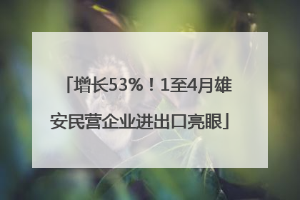 增长53%！1至4月雄安民营企业进出口亮眼