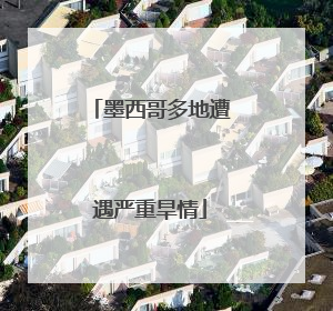 墨西哥多地遭遇严重旱情