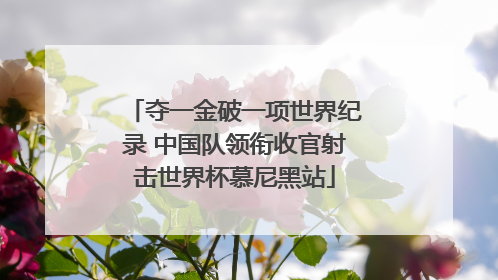 夺一金破一项世界纪录 中国队领衔收官射击世界杯慕尼黑站