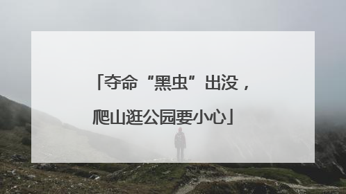 夺命“黑虫”出没，爬山逛公园要小心