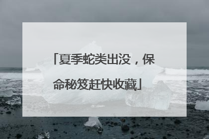 夏季蛇类出没，保命秘笈赶快收藏