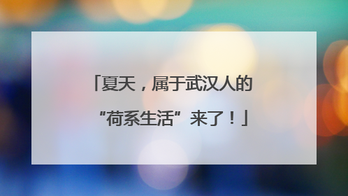 夏天，属于武汉人的“荷系生活”来了！