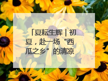 夏耘生辉｜初夏，赴一场“西瓜之乡”的清凉邀约吧！